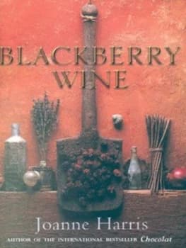 Blackberry Wine by Joanne Harris Hardback