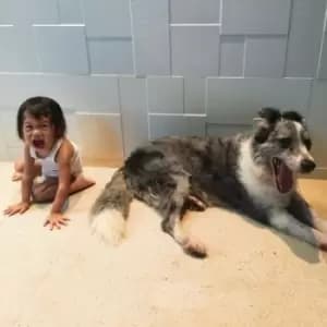 The Endless Shimmering by And So I Watch You From Afar Vinyl Album