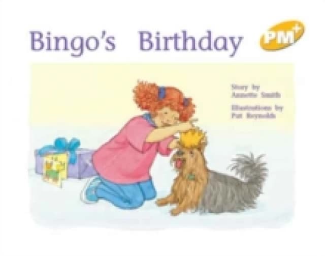 Bingo's Birthday - Paperback - Used