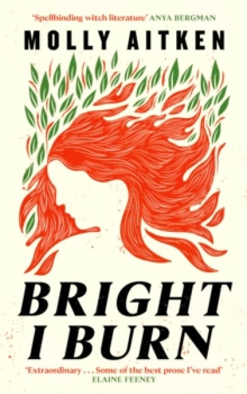 Bright I Burn Hardback