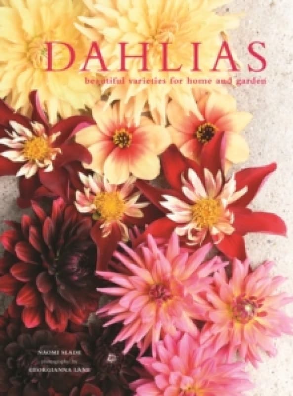 Dahlias : Beautiful varieties for home and garden Hardback