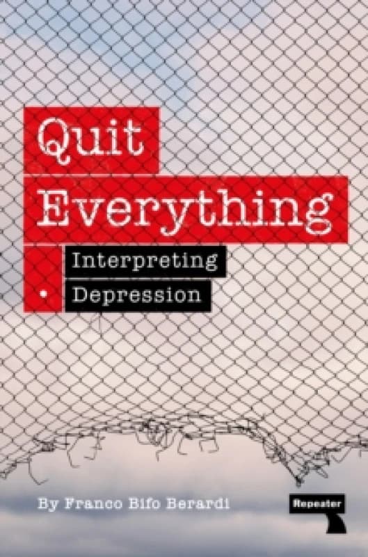 Quit Everything : Interpreting Depression Paperback / softback