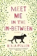 meet me in the in between a memoir