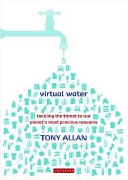 Virtual Water by J. a Allan Paperback