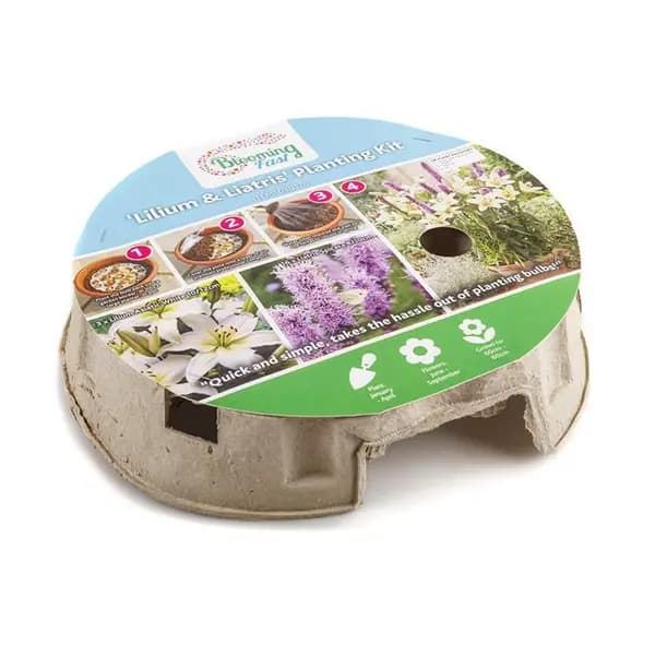 YouGarden Plant-O-Mat Lilium and Liatris Kit 1 pack Multi 40853499001