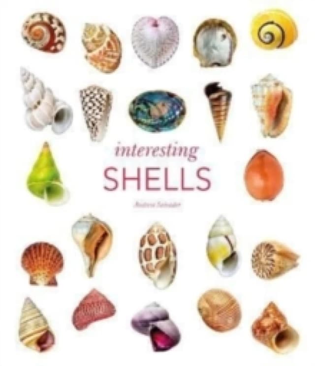 Interesting Shells. Hardback. By Andreia Salvador, England Natural History Museum London Books