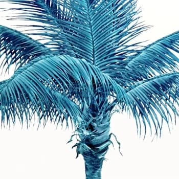 Famy - Famy / We Fam Econo (Vinyl) Vinyl