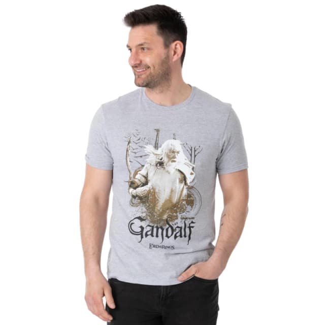 Lord of the Rings Lord of the Rings Men Short Sleeved T-Shirt in Grey Size: Small Grey S Male 5060977370501