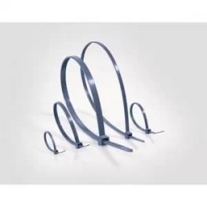 HellermannTyton 111-01664 MCTPP18R-PPMP-BU Cable tie Blue 100 pc(s)