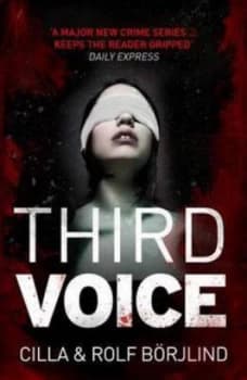 Third Voice by Cecilia Brjlind Paperback