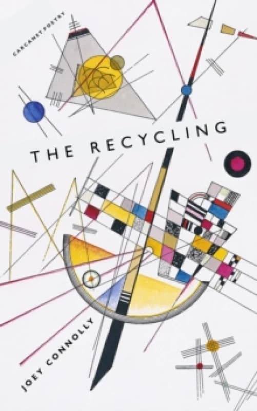 The Recycling Paperback / softback