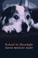 roland in moonlight