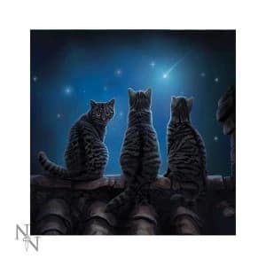 Wish Upon a Star Light Up Cushion