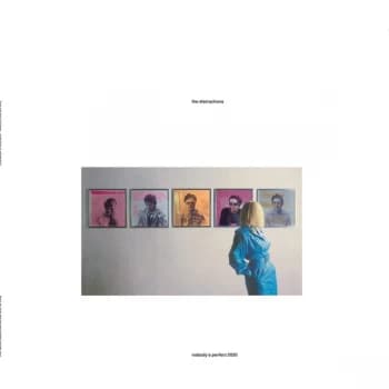 The Distractions - Nobody's Perfect 2020 Vinyl