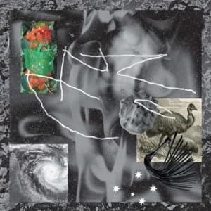 No Zu ‎- Afterlife Vinyl