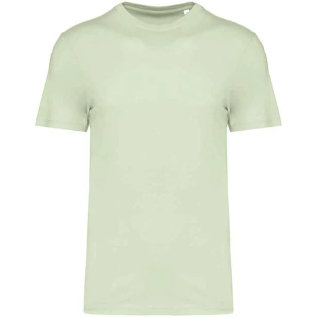Native Spirit Mens T-Shirt in Green Size: Small Green Male S