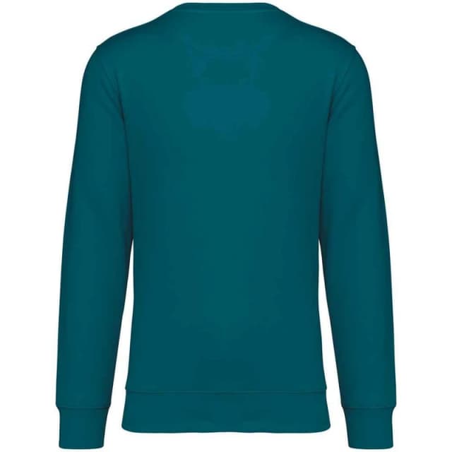 Native Spirit Mens Crew Neck Sweatshirt in Bottle Green Size: XS Bottle Green Male XS