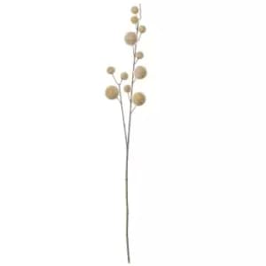 Crossland Grove Pom Pom Spray (6Pk) Fawn 850Mm