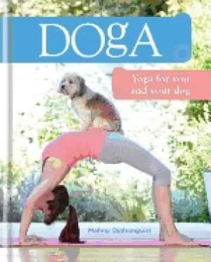 doga yoga for you and your dog