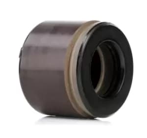 RIDEX Piston, brake caliper KIA,JEEP,CHRYSLER 2248P0032 5252614