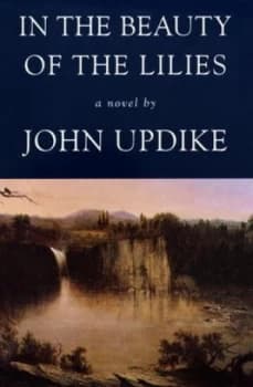 In the Beauty of the Lilies by John Updike Hardback