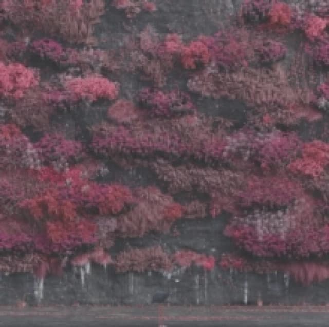 Even in Arcadia CD / Album