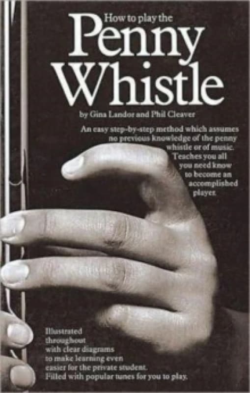 How to Play the Penny Whistle by Gina Landor Paperback