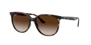 Ray-Ban Sunglasses RB4378 710/13