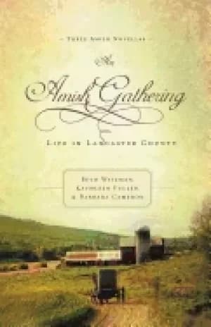 amish gathering life in lancaster county