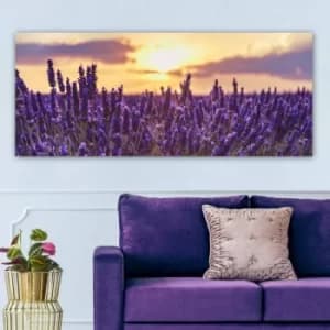 YTY652199245_50120 Multicolor Decorative Canvas Painting