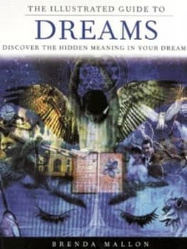 The Illustrated Guide to Dreams by Brenda Mallon Paperback