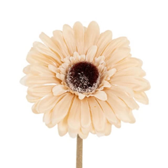 Hill Interiors Soft Gerbera Gerbera Artificial Flower Cream (One Size)