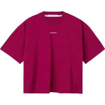 Calvin Klein Jeans Micro Loose T Shirt - DARK CLOVE VWS