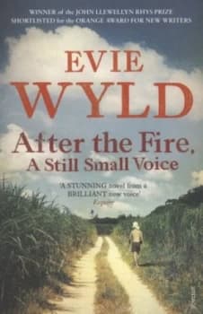 After the Fire a Still Small Voice by Evie Wyld Paperback