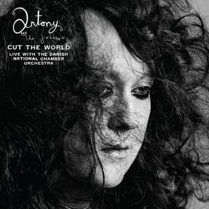 Antony and the Johnsons Cut The World CD