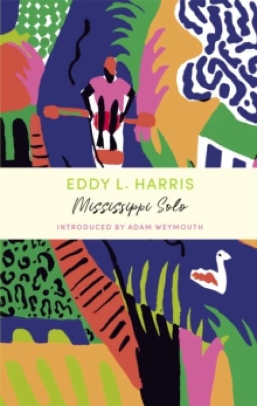 Mississippi Solo : A John Murray Journey Paperback / softback