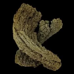 Emergence by Max Cooper CD Album