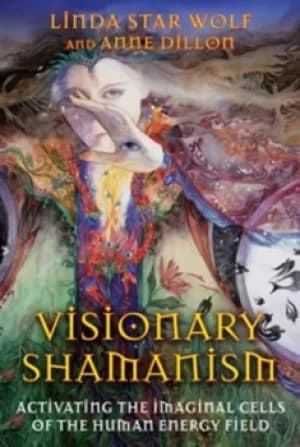 Visionary shamanism by Linda Star Wolf