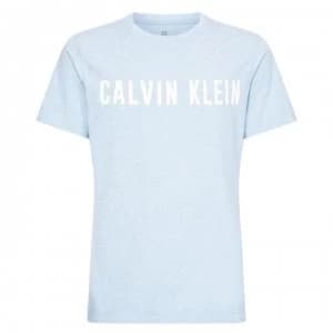Calvin Klein Performance Logo Short Sleeved T Shirt - 488 Blue Shw