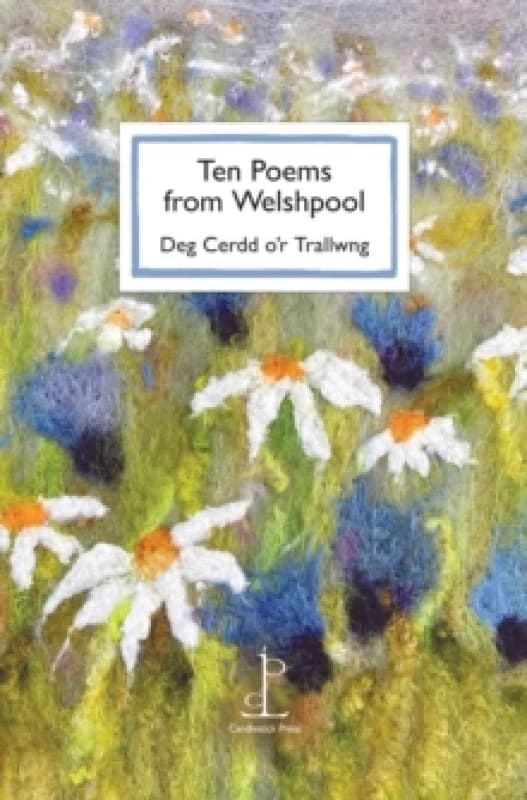 Ten Poems from Welshpool : Deg Cerdd or Trallwng Paperback / softback