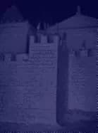 albert elm what sort of life is this