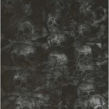 Secret,The - Agnus Dei CD