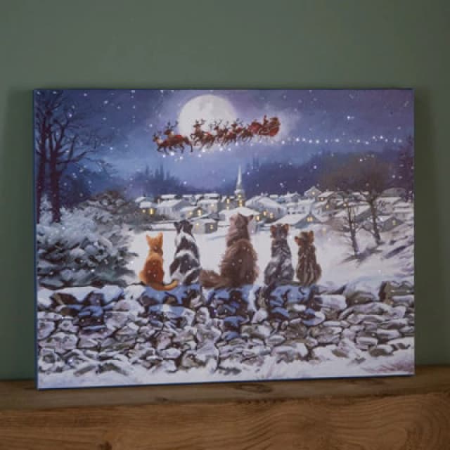 SNOWTIME 40 x 30cm Snowtime Touch Operated Cats Christmas Fibre Optic Wall Canvas FB01240