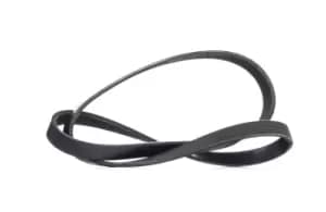 RIDEX V-ribbed belt FIAT,ABARTH 305P0423 46548454,55219226,71749447 Serpentine belt,Auxiliary belt,Poly V-belt,Ribbed belt,Multi V-belt,Poly belt