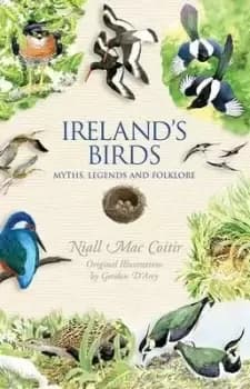 Ireland's Birds by Niall Mac Coitir