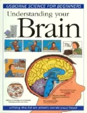 understanding your brain