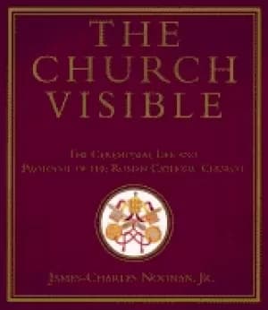 church visible the ceremonial life and protocol of the roman catholic churc