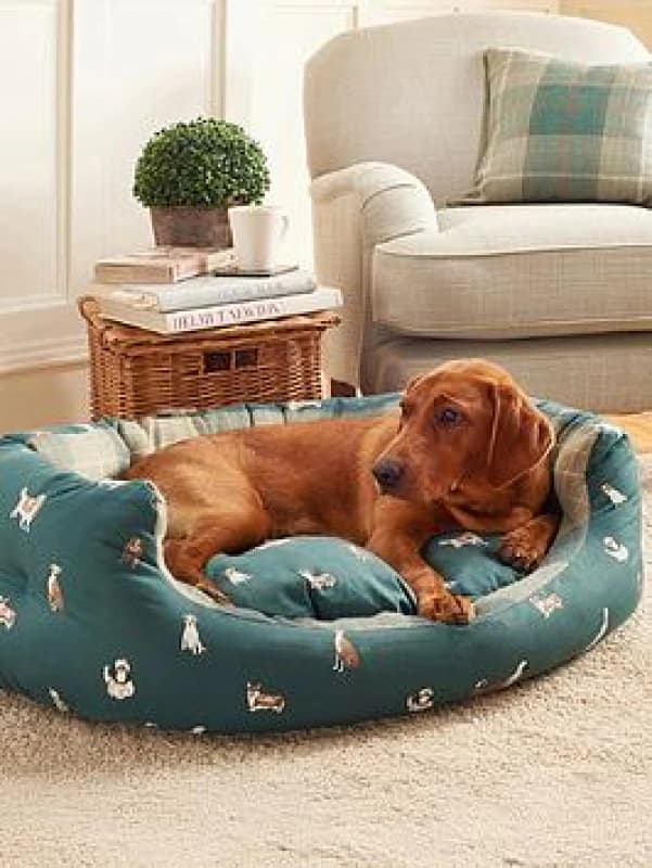 Laura Ashley Park Dogs Deluxe Slumber 30'' - 76cm, Multi 72861