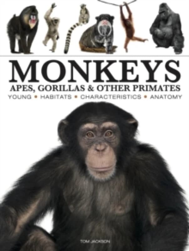 Monkeys Paperback / softback