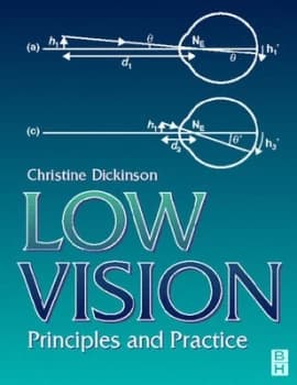 Low Vision by Christine Dickinson Paperback